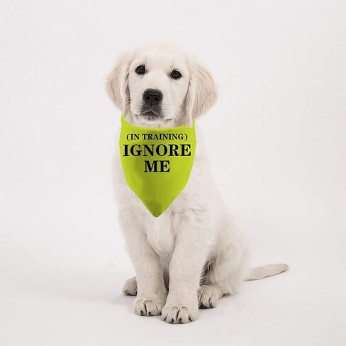 PWHAOO قطعة واحدة من باندانا Ignore Me in Training Dog Bandana Yellow Dog Bandana Anxious Dog Reactive Dog Bandana (تجاهلني (في التدريب) D) in Saudi Arabia
