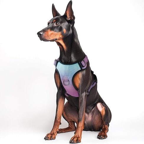 QQPETS No Pull Dog Harness with 2 Leash Clips，Adjustable Soft Padded Dog Vest, Reflective Outdoor Pet Oxford Vest with Easy Control Handle for Small to Large Dogs Walking Training in Saudi Arabia