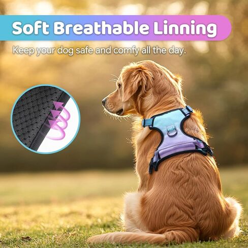 QQPETS No Pull Dog Harness with 2 Leash Clips，Adjustable Soft Padded Dog Vest, Reflective Outdoor Pet Oxford Vest with Easy Control Handle for Small to Large Dogs Walking Training in Saudi Arabia