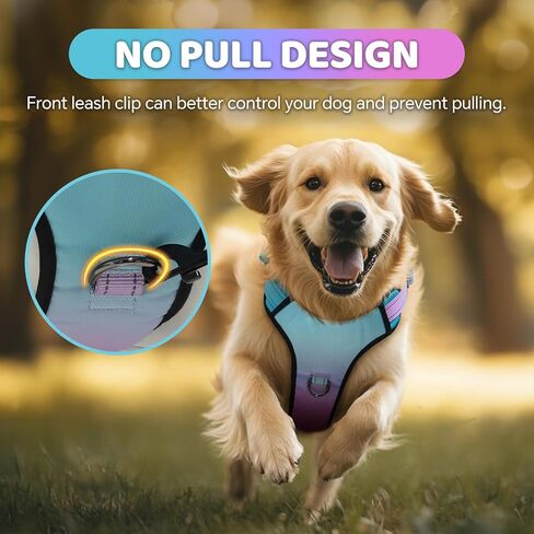 QQPETS No Pull Dog Harness with 2 Leash Clips，Adjustable Soft Padded Dog Vest, Reflective Outdoor Pet Oxford Vest with Easy Control Handle for Small to Large Dogs Walking Training in Saudi Arabia