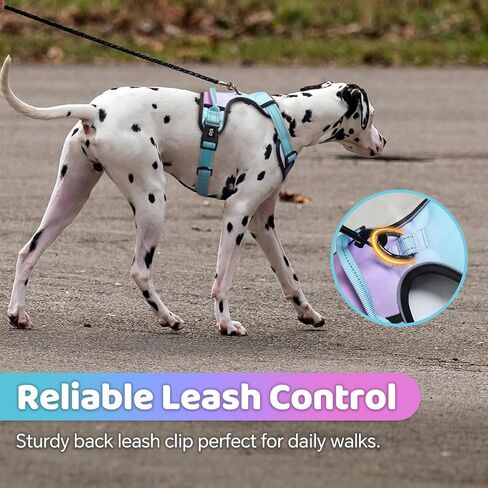 QQPETS No Pull Dog Harness with 2 Leash Clips，Adjustable Soft Padded Dog Vest, Reflective Outdoor Pet Oxford Vest with Easy Control Handle for Small to Large Dogs Walking Training in Saudi Arabia