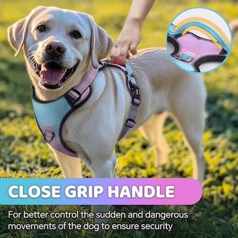 QQPETS No Pull Dog Harness with 2 Leash Clips，Adjustable Soft Padded Dog Vest, Reflective Outdoor Pet Oxford Vest with Easy Control Handle for Small to Large Dogs Walking Training in Saudi Arabia