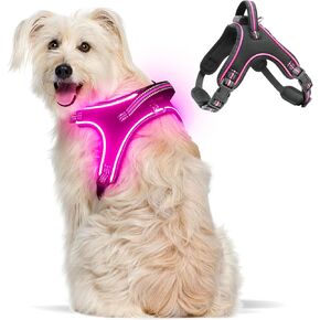 حزام للكلاب مضيء بدون سحب مزود بمصباح LED مع مقبض قابل لإعادة الشحن ومضاد للمطر مع أضواء للمشي ليلاً وحزام سترة مضاء للكلاب الصغيرة والمتوسطة والكبيرة (أخضر، L) in Kuwait