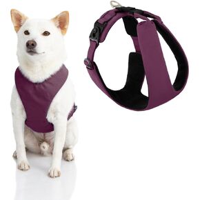Gooby Lite Gear Z Harness - Scratch Resistant Ergonomic Harness with Shock Absorption - Head-in Harness for Small or Medium Dogs