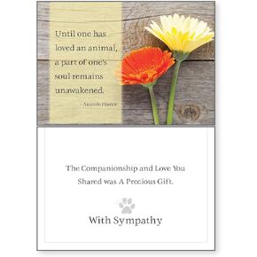 Dog Speak Until One Has Loved An Animal Pet Sympathy Card