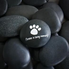 Pet Memorial Gifts for Loss Dogs and Cats - Dog Memorial Stone with Paw Print - Dog Bereavement Sympathy Gift Includes Pet Sympathy Cards - Forever in Loving Memory Plaque (White)