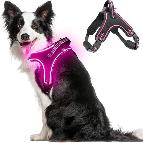 Light Up Dog Harness No Pull LED Dog Harness with Handle Rechargeable Rainproof Dog Harness with Lights for Night Walking Lighted Dog Vest Harness for Small Medium Large Dogs (Green, M) in Saudi Arabia