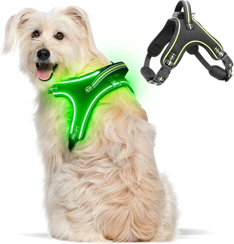 Light Up Dog Harness No Pull LED Dog Harness with Handle Rechargeable Rainproof Dog Harness with Lights for Night Walking Lighted Dog Vest Harness for Small Medium Large Dogs (Green, M) in Saudi Arabia