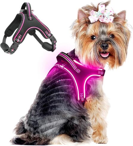 Light Up Dog Harness No Pull LED Dog Harness with Handle Rechargeable Rainproof Dog Harness with Lights for Night Walking Lighted Dog Vest Harness for Small Medium Large Dogs (Green, M) in Saudi Arabia