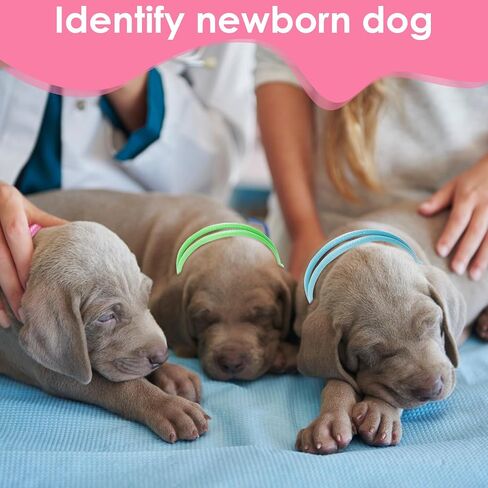 24Pcs Puppy ID Collars for Litter, Adjustable Soft Whelping Collars for Small Puppies, 2.2'' Min Colored Newborn Puppy Collars, Identification Collar Bands for Kitten Tiny Dogs Pet in Saudi Arabia