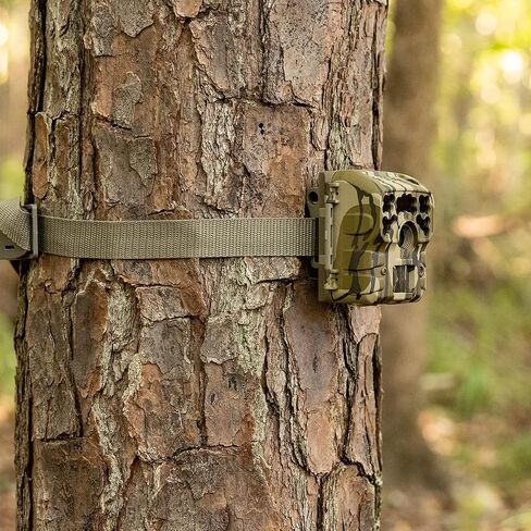 Moultrie Micro-42 Trail Camera Kit in Saudi Arabia