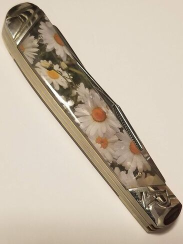 الخام رايدر الصياد الإقحوانات RR2098 in Kuwait