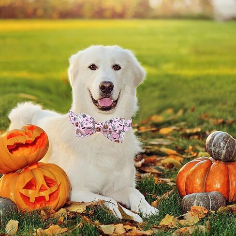 Lionheart glory Dog Collar Fall Dog Collars with Bow Plaid Dog Collar Bow Female Male Pet Collar Dogs Collar Bows Duty Adjustable Dog Bow Collars for Small Dogs in Kuwait
