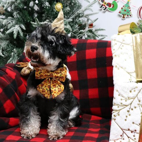 Lionet Paws Thanksgiving Day Dog Collar with Bowtie, Dog Sailor Bow Collar with Metal Buckle for Dogs, Adjustable Comfortable Dog Collar Girl Gift, M, Neck 13.5-22 in in Kuwait