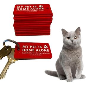 Dog Cat are Home Alone Alert Key Tags Pet Contact Keychain Alert Keychain Dog ID Tag and Collar Accessories