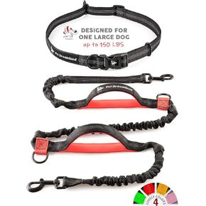Correa para perro Manos libres para correr، excursionismo، caminar، entrenamiento canino Correa de la Cintura | الحجم: Perros pequeños/Grandes