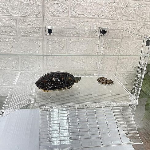 PENCK Hanging Turtle Basking Platform Acrylic Aquatic Reptile Ramp Dock Fence Type Tortoise Climbing Ladder Turtle Tank Accessories for Aquatic Reptile Feeding Resting (Large) in Saudi Arabia