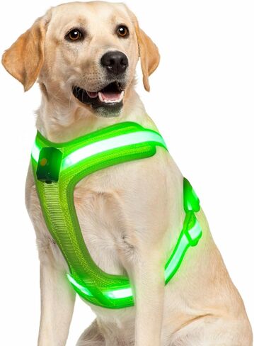 LED Dog Harness Rechargeable, Light Up Dog Harness No Choke Illuminated Glow Dark Harness Vest for Medium Large Dogs for Night Safety Walking-Green,Medium in Kuwait