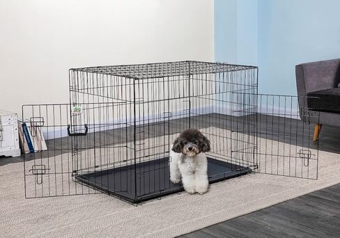 قفص معدني قابل للطي ببابين من Go Pet Club مقاس 42 بوصة مع مقسم in Kuwait