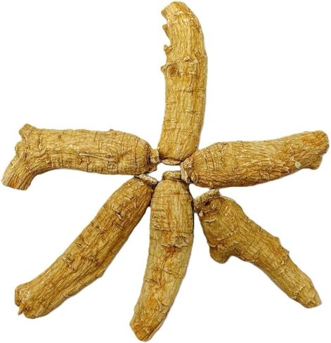 Hand Selected A Grade American Ginseng Root Large Short (4 Oz. Box) in Saudi Arabia