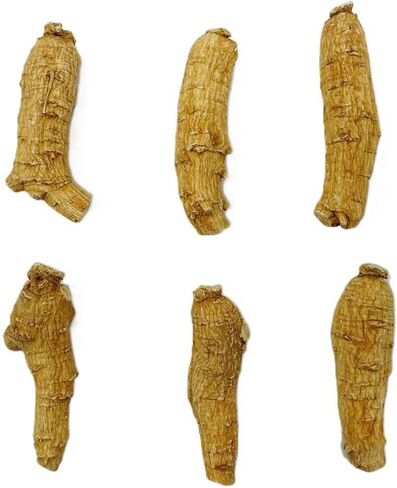 Hand Selected A Grade American Ginseng Root Large Short (4 Oz. Box) in Saudi Arabia