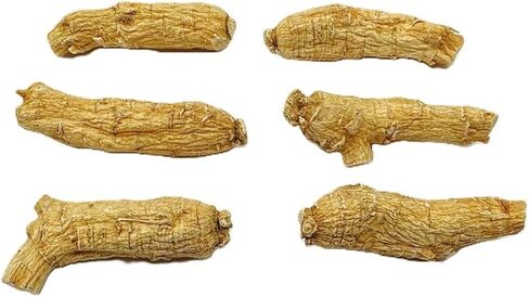 Hand Selected A Grade American Ginseng Root Large Short (4 Oz. Box) in Saudi Arabia