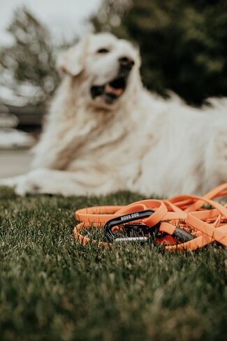 Boss Dog Tactical Polyester Webbing TPU Tracking Leash, Tan, 6 FT in Kuwait