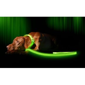 ILLUMISEEN LED Light Up Dog Leash | Ultra High Visibility Up to 350 Yards | 3 Lighting Modes | USB Rechargeable, No Batteries Needed | Padded Handle & Rotating Swivel Clasp to Prevent Leash Tangling