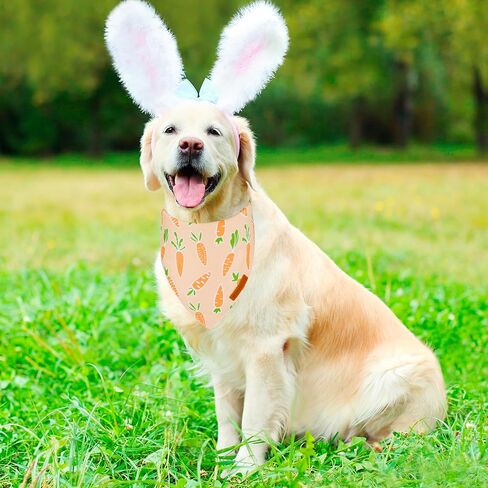 ADOGGYGO عيد الفصح الكلب باندانا، أرنب الجزرة وشاح الكلب، متعددة الحجم عرضت، البرتقالي الأزرق الكلب عيد الفصح باندانا للكلاب الصغيرة الحيوانات الأليفة (صغير، عيد الفصح) in Kuwait