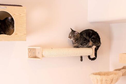 Armarkat Cat Wall Climber Series: Scratching Post W1907D, Natural Beige Medium in Saudi Arabia