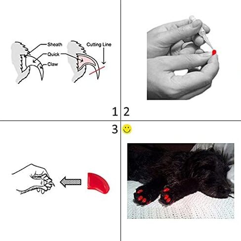 Purrdy Paws 40 عبوة من أغطية الأظافر الناعمة لمخالب الكلاب، أرجواني ثلاثي الأبعاد لامع مقاس XXL in Kuwait