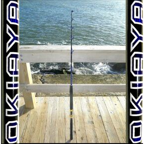 COMPOSIT 50-80LB Blueline Series Saltwater Big Game Roller Rod