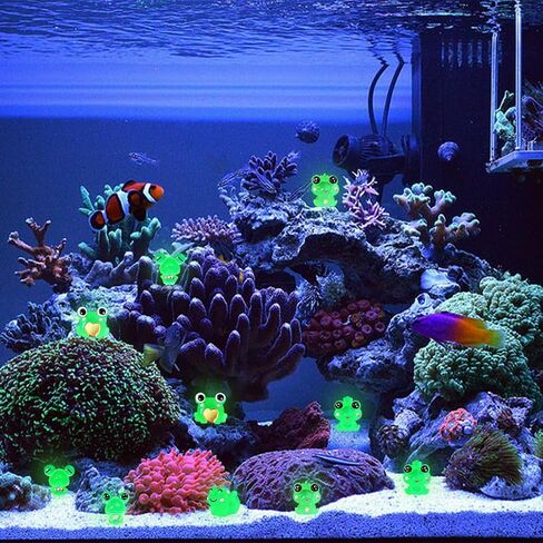 12 Luminous Aquarium Decorations, Mini Luminous Frogs Aquarium Decoration Silicone Frogs Aquarium Accessories Glowing Effect Frog Aquarium Ornament for Fish Tank Décor… in Saudi Arabia