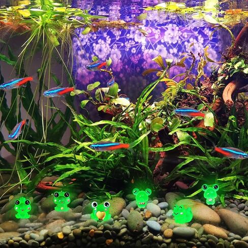 12 Luminous Aquarium Decorations, Mini Luminous Frogs Aquarium Decoration Silicone Frogs Aquarium Accessories Glowing Effect Frog Aquarium Ornament for Fish Tank Décor… in Saudi Arabia