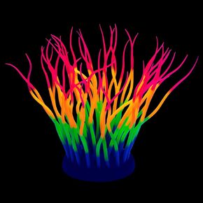 Fish Tank Decorations Fluorescent Rainbow Anemone Aquarium Decor Aquatic Plants Betta Fish Tank Decor Silicone Ornament Glowing Effect for Fish Tank Landscape Decoration, for Halloween(R)