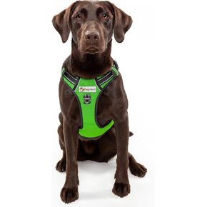 Premium Adjustable Full Coverage Vest/Harness for Large (50-90lbs) Dogs - Metal Clips, Padded Handle, 2 Leash Clips, Durable Oxford Fabric, Reflective Trim - No Choke, No Pinch (Royal Blue)