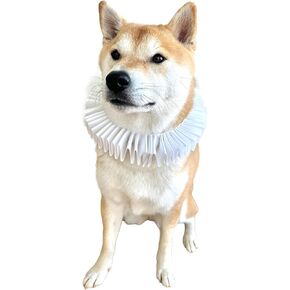 ComfyCamper Elizabethean Renaissance Ruffle Neck Collar Costume - Small Medium XLarge XXL Cosplay Halloween, XL