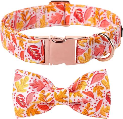 Lionet Paws Fall Halloween Dog Collar, Cute Bat Pumpkin Dog Collar for Small Dogs, Adjustable Cotton Orange Pet Collars Puppy Collar for Small Dogs in Kuwait