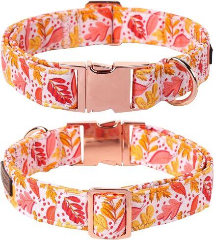 Lionet Paws Fall Halloween Dog Collar, Cute Bat Pumpkin Dog Collar for Small Dogs, Adjustable Cotton Orange Pet Collars Puppy Collar for Small Dogs in Kuwait