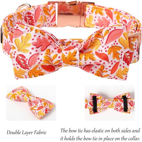 Lionet Paws Fall Halloween Dog Collar, Cute Bat Pumpkin Dog Collar for Small Dogs, Adjustable Cotton Orange Pet Collars Puppy Collar for Small Dogs in Kuwait