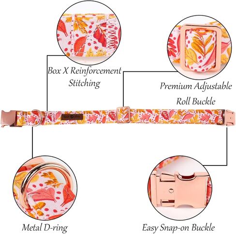 Lionet Paws Fall Halloween Dog Collar, Cute Bat Pumpkin Dog Collar for Small Dogs, Adjustable Cotton Orange Pet Collars Puppy Collar for Small Dogs in Kuwait