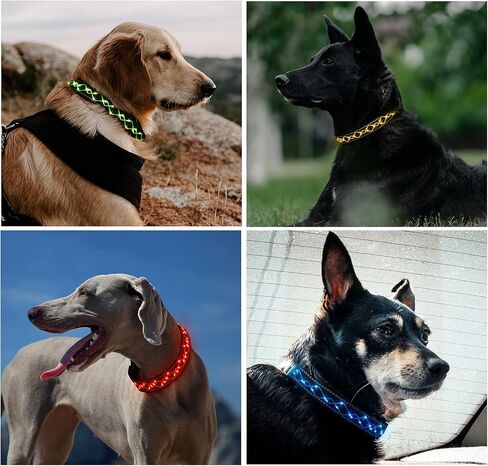 عالية الأداء سلامة الكلب ضوء قابلة للشحن قابل للتعديل الأحمر تألق LED تضيء أطواق الكلاب إبقاء الجراء آمنة ورؤية in Kuwait