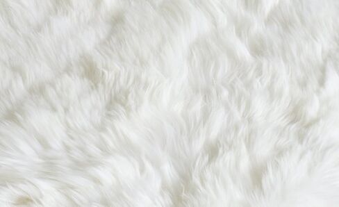 SAFAVIEH Sheep Skin Collection Accent Rug - 3' x 5', Natural & White, Handmade Rustic Glam Genuine Pelt, 3.4-inch Thick Ideal for High Traffic Areas in Entryway, Living Room, Bedroom (SHS211A) in Saudi Arabia