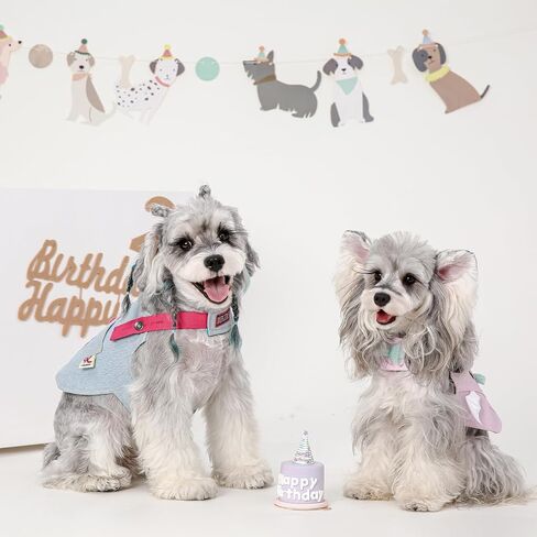 Dog Harness,Adjustable Velcro Denim Dog Harness Small Sized Dog, Unique Style Knot Pink No Pull Dog Harness and Leash Set, No Choke Dog Vest Harness (M,Pink) in Saudi Arabia