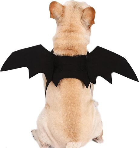 NACOCO Dog Bat Wings Halloween Pet Black Bat زي أجنحة الكلاب زي إكسسوارات للحفلات التنكرية للهالوين (M (الصدر: 22 بوصة - 26 بوصة)) in Saudi Arabia