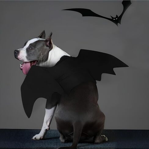 NACOCO Dog Bat Wings Halloween Pet Black Bat زي أجنحة الكلاب زي إكسسوارات للحفلات التنكرية للهالوين (M (الصدر: 22 بوصة - 26 بوصة)) in Saudi Arabia