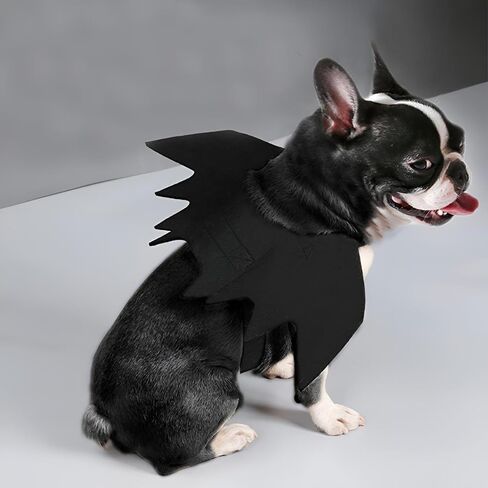 NACOCO Dog Bat Wings Halloween Pet Black Bat زي أجنحة الكلاب زي إكسسوارات للحفلات التنكرية للهالوين (M (الصدر: 22 بوصة - 26 بوصة)) in Saudi Arabia
