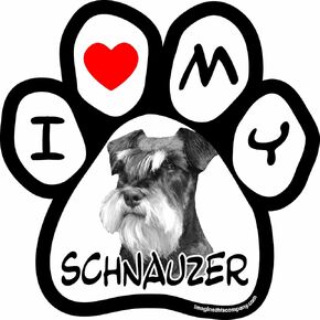 5-1/2-Inch by 5-1/2-Inch Car Magnet Picture Paw, Schnauzer