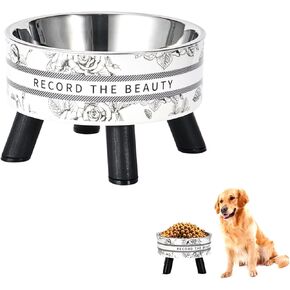 Elevated Cat Food Bowls with Stand, Stainless Steel Anti Vomiting Non-Slip Raised Cat Bowl, Pet Feeding Bowls for Cats Kittens Puppies and Small Dogs