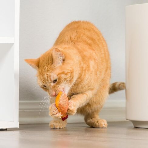 هوكسلي اند كينت لعبة قطة | لعبة قطط محشوة بالنعناع البري القوي | لعبة قطة مخملية ناعمة مع النعناع البري والتجعد | كيتي بيلز (كيتي كلاو ليكس وليمون) in Kuwait